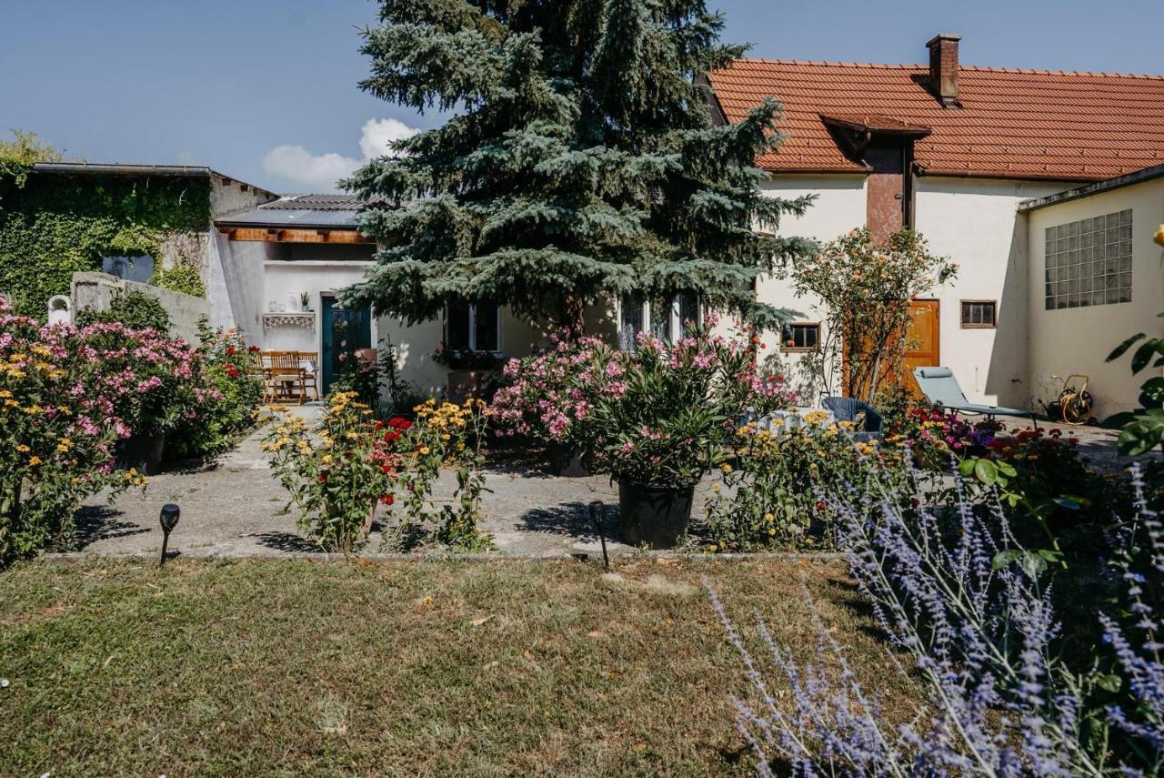 Das Kleine Haus Брайтенбрунн Экстерьер фото